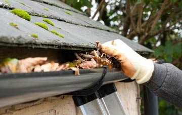 gutter cleaning Brinkley Hill, Herefordshire